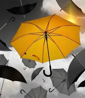 Weet jouw klant waarom hij bij jou moet kopen?

De meeste webshops en websites vertellen alleen maar over wat men verkoopt. Dat is natuurlijk belangri van Webburo Spring BV